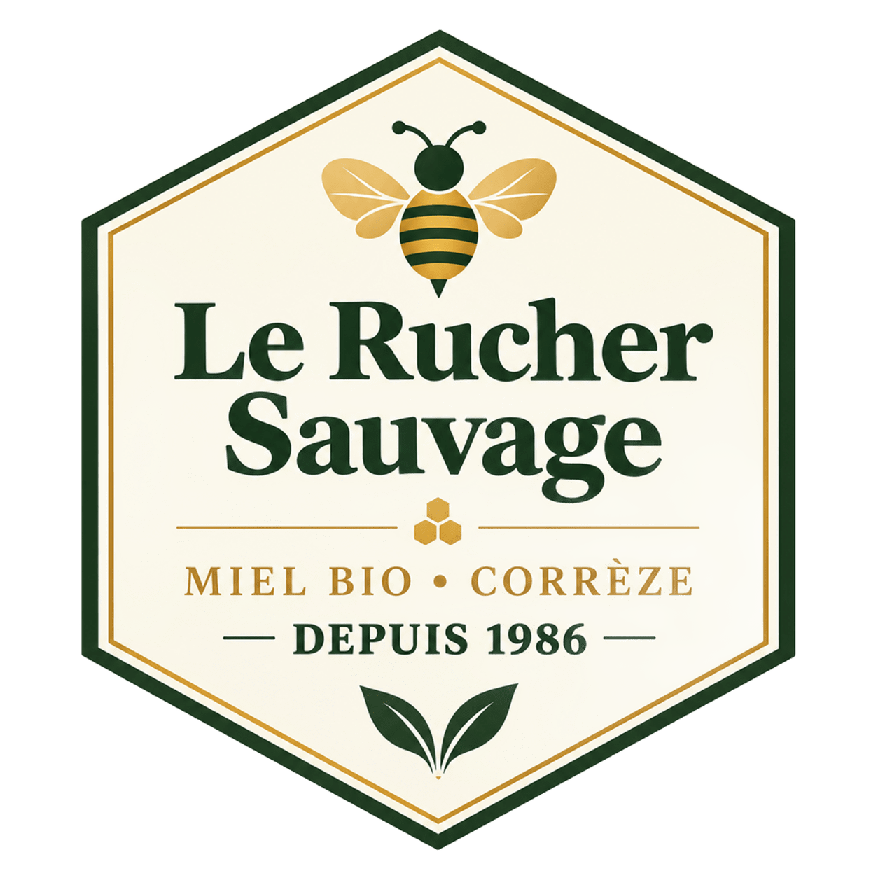 Le Rucher Sauvage Lestards sur le plateau de Millevaches en Corrèze - Miel du Limousin - Producteur de miel biologique