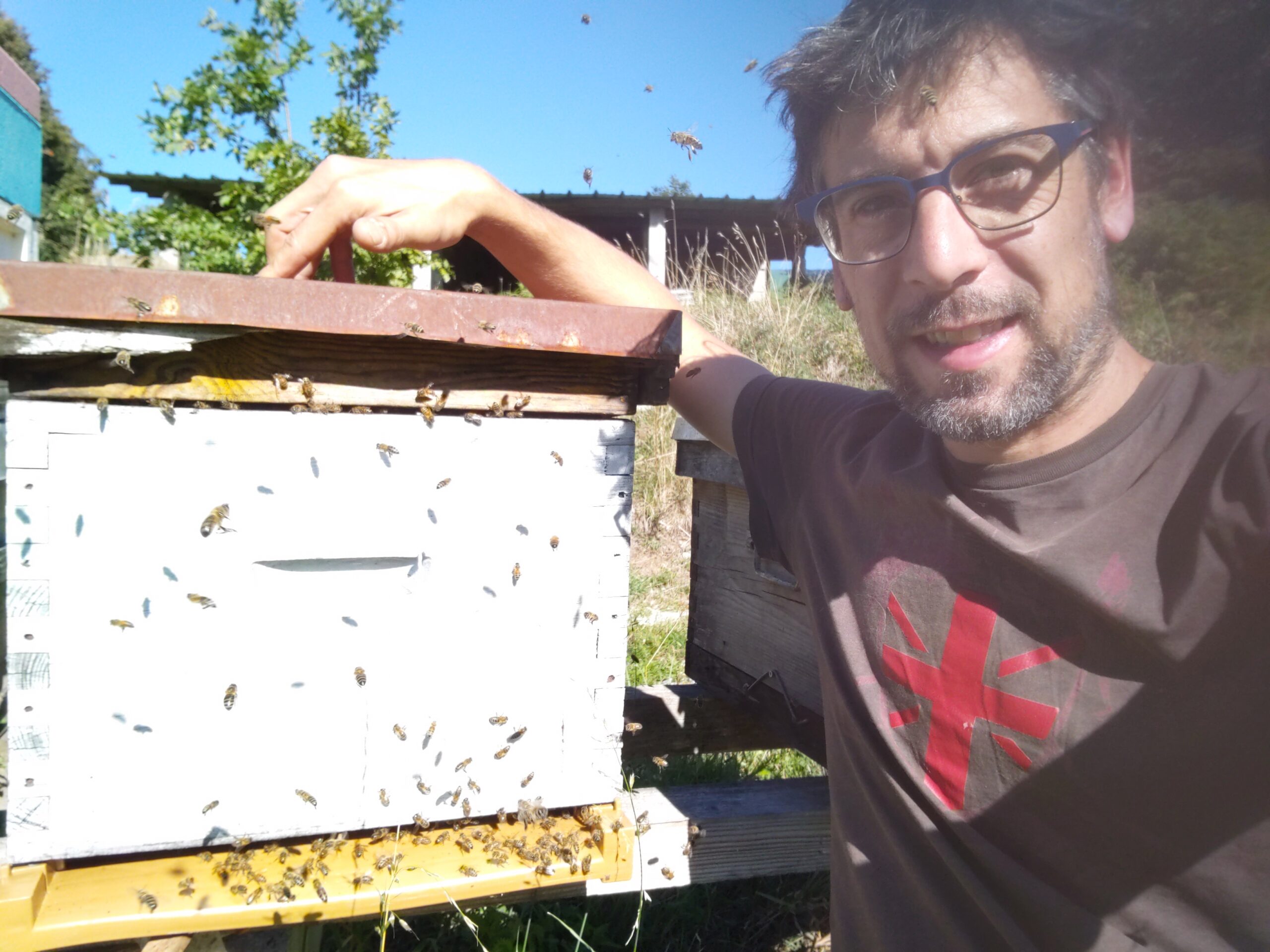 apiculteur producteur du plateau de Millevaches en Corrèze