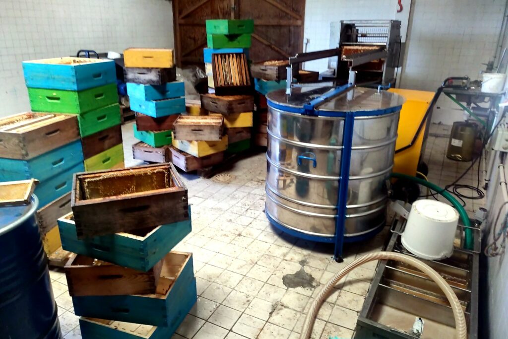 Extraction du miel à la miellerie Le rucher sauvage à Lestards en Corrèze