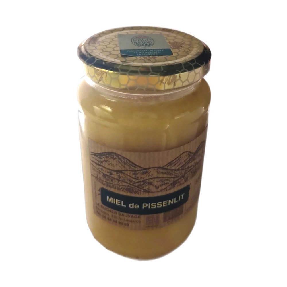 miel de pissenlit brut et naturel 500g, récolté en Corrèze