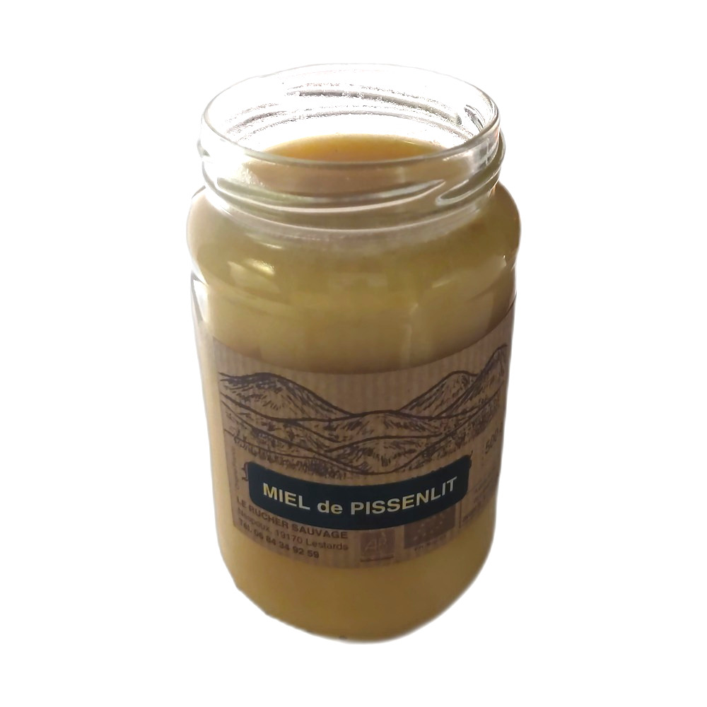 miel de pissenlit artisanal 500g, récolté en Corrèze - Limousin - plateau de Millevaches